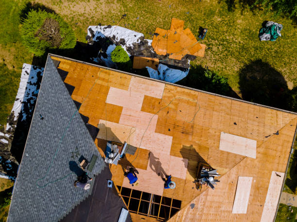 Professional Roofing Contractor in Vancleave, MS