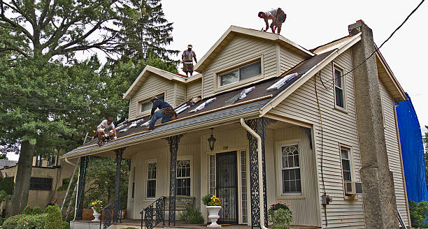 Best Local Roofing Companies  in Vancleave, MS