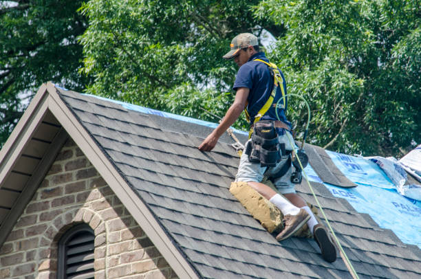 Best Shingle Roofing Installation  in Vancleave, MS